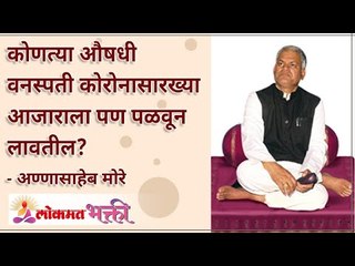 कोणत्या औषधी वनस्पती कोरोनासारख्या आजाराला पळवून लावतील? Which plants Can Cure Diseases like Corona?