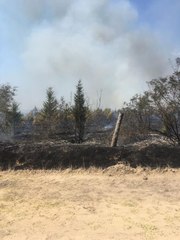 Orman yangının sebebi ATV aracı