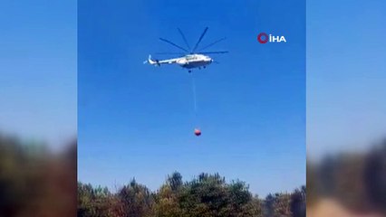 Edirne’de orman yangını kontrol altına alındı