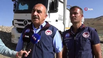 Van'da 1 milyon 200 bin yavru sazan balığı göl, gölet ve barajlara salındı