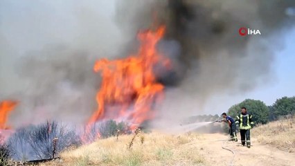 Kula'da koyun sürüsü kontrol altına alınan yangından böyle kaçtı