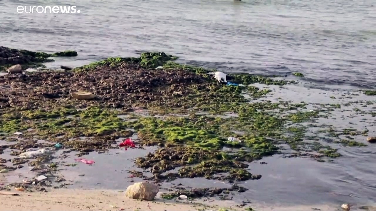 A cause de la pollution de la mer, les Libyens de Tripoli vivent dans une "prison estivale"