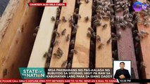 Mga pakinabang ng pag-aalaga ng bubuyog sa siyudad, higit pa raw sa kabuhayan lang para sa isang daddy | SONA