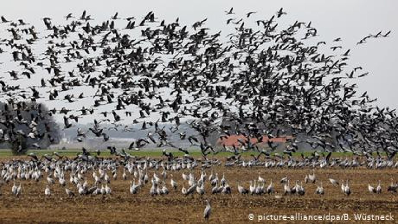 Naturparadies im ehemaligen Todesstreifen