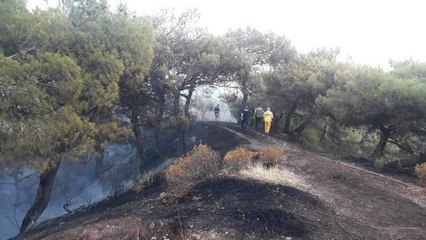 Son dakika haberleri | HATAY'DA ORMAN YANGINI