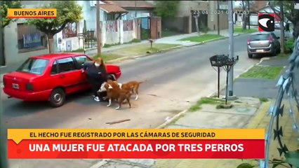 Una mujer fue atacada por tres perros