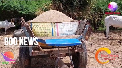 #BOOMINEWS | அமராவதி ஆற்றில் சட்டவிரோதமாக மணல் அள்ள பயன்படுத்தப்பட்ட மாட்டு வண்டிகள் பறிமுதல் |