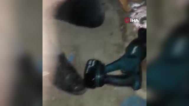 Son Dakika | Kanalizasyon gider borusuna sıkışan yavru kediyi itfaiye kurtardı