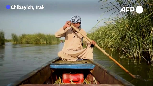 En Irak, les marais perdent leurs touristes à cause de la chaleur