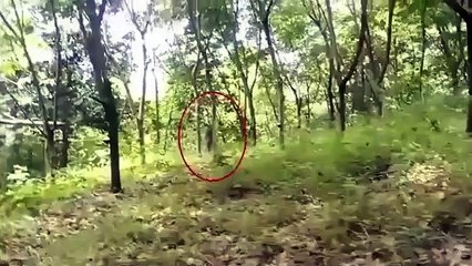 Eventos Paranormais e fantasmas