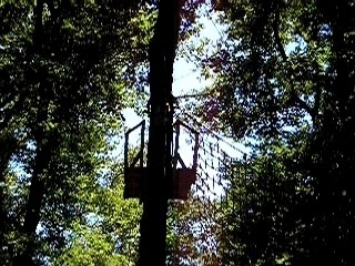 saut de tarzan