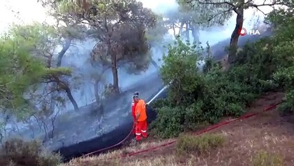 Kırıkhan'da çıkan orman yangını söndürüldü