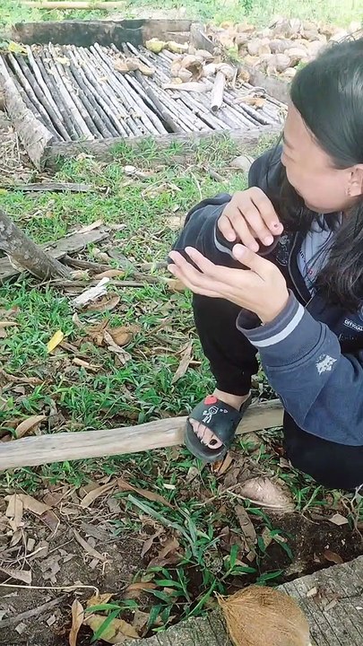 palpak vlogger 