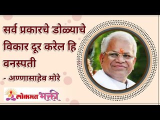 These plants will cure all your eye disorders | सर्व प्रकारच्या डोळ्यांचे विकार दूर करेल ही वनस्पती