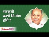 संस्कृती निर्माण कशी होते? How does culture arise? Satguru Shri Wamanrao Pai | Lokmat Bhakti