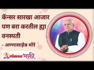 Cancer पण बरा करतील या वनस्पती | These Plants can even cure Cancer | Annasaheb More | Lokmat Bhakti