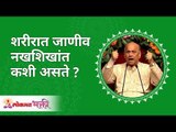 शरीरातली जाणीव नखशिखांत कशी असते? How does the body's awareness Bloom? Satguru Shri Wamanrao Pai