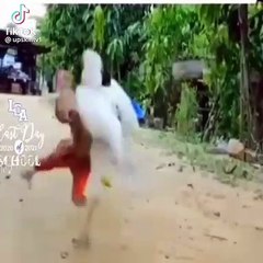 kung fu chicken @ monky