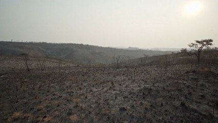 Wildfire turns more than half of a nature preserve into ash