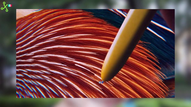 Probamos el GALAXY Z FOLD3: el primer plegable CONTRA EL AGUA