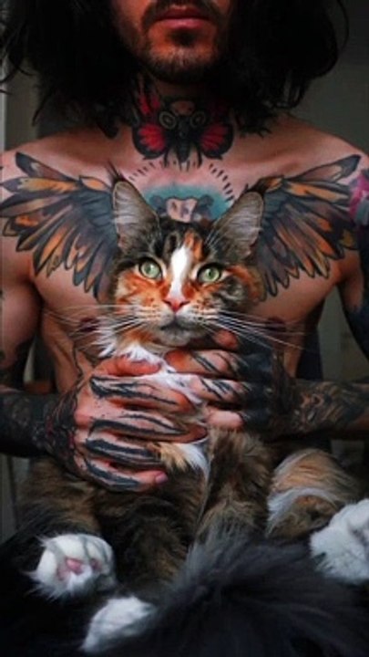  cat 