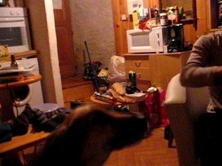 Mistic & pate à ballon 2