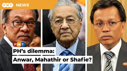 PH must first agree on a PM candidate before pitching ‘big tent’ concept, say analysts