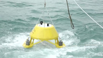 바닷속 오염·재난 실시간으로 살핀다! / YTN