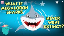 What If Megalodon Sharks Never Went Extinct? | The Megalodon | The Dr Binocs Show | Peekaboo Kidz