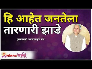 हि आहेत जनतेला तारणारी झाडे | These trees will save humanity | Annasaheb More | Lokmat Bhakti