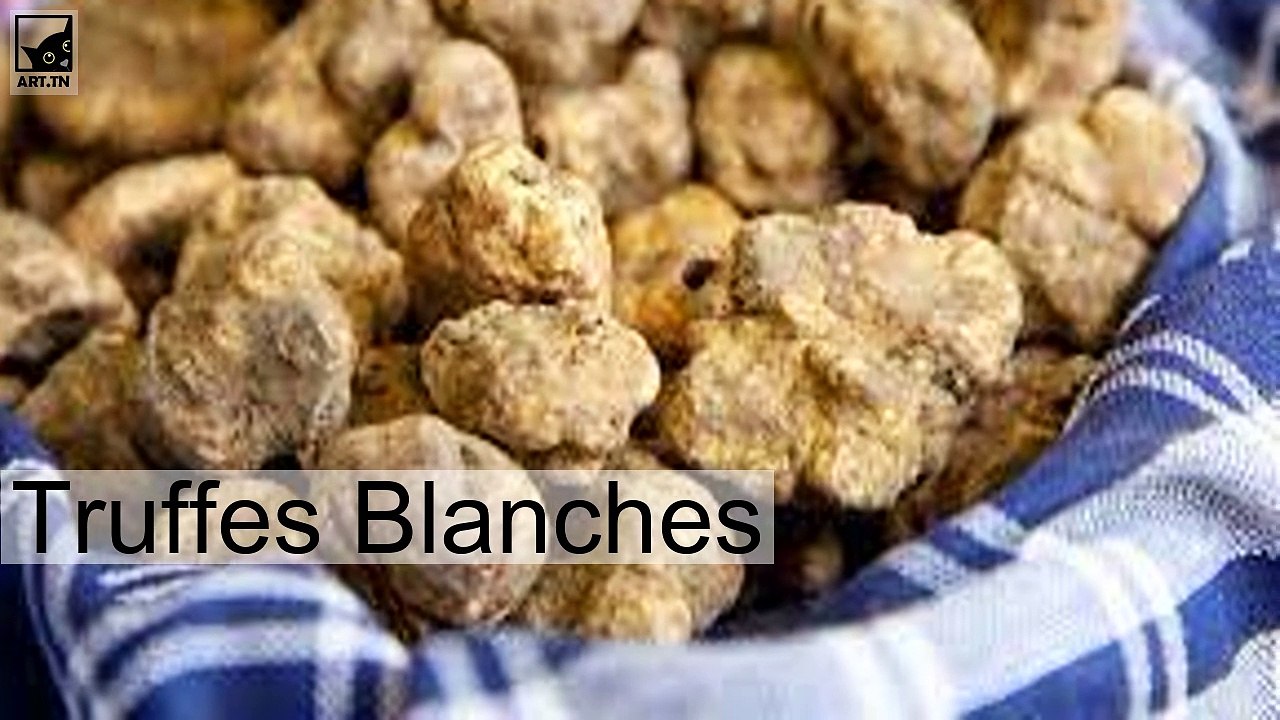 La nourriture la plus chère du monde