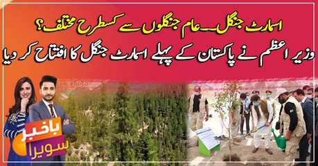 PM Imran inaugurates country’s first smart forest in Sheikhupura