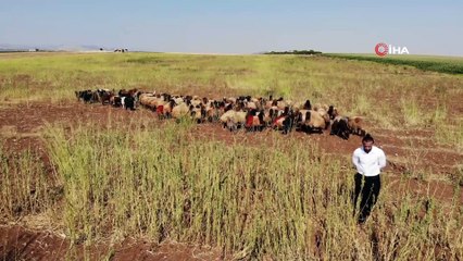 Halil Çoban, Avrupa Şampiyonası'na hazırlanıyor
