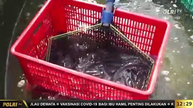 Live Dialog Kapolres Sukoharjo - AKBP Wahyu Nughoro Terkait Program Ketahanan Pangan