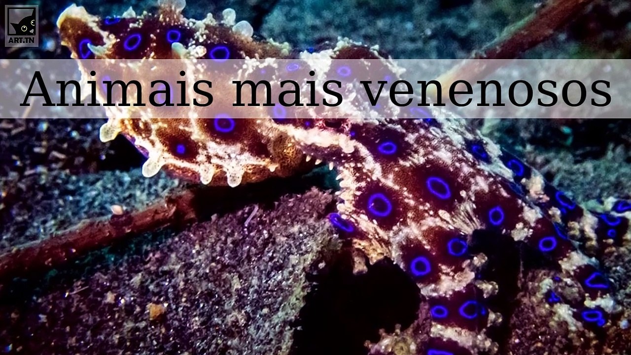 Os animais mais venenosos