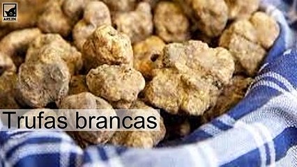 A comida mais cara do mundo