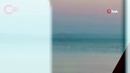 Marmara’da yunusların yaptığı geçiş izleyenleri mest etti
