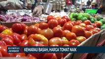 Harga Tomat Naik Akibat Gagal Panen selama Kemarau Basah