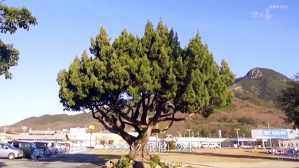 ＢＳ１スペシャル「マルレ～“特攻艇”隊員たちの戦争～」