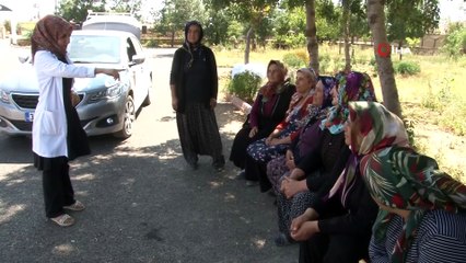 Kadınlar el ele verip 8 çeşit peynir üretti