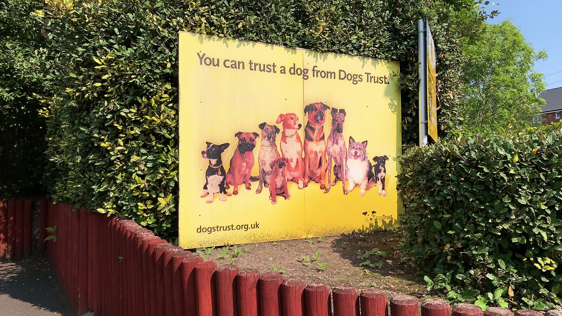 10 dog-friendly shops in Glasgow