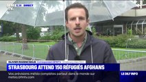 Strasbourg va accueillir 150 réfugiés afghans ce jeudi après-midi