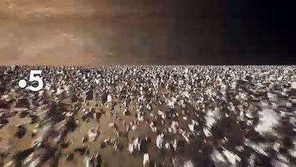 [BA] Planètes - Saturne, l'énigmatique - 02/09/2021