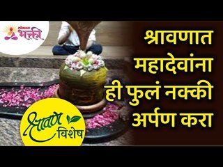 श्रावण विशेष - श्रावणात महादेवांना ही फुलं नक्की अर्पण करा | Which Flowers to offer to Lord Shiva?