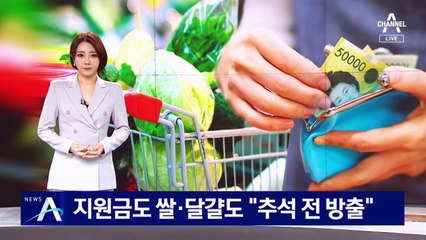 지원금도 쌀·달걀도 “추석 전 방출”…정부 ‘돈 풀기’