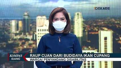 Beromzet Rp 7-8 Juta Per Minggu, Ibu Rumah Tangga di Jember Raup Cuan dari Budidaya Ikan Cupang