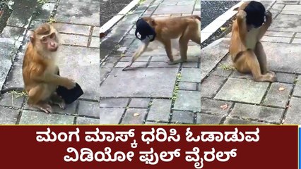 ಮಂಗ ಮಾಸ್ಕ್ ಧರಿಸಿ ಓಡಾಡುವ ವಿಡಿಯೋ ಫುಲ್ ವೈರಲ್ | Oneindia Kannada