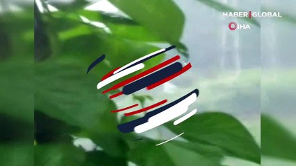 Yağmurda çöken taş duvar saniye saniye görüntülendi