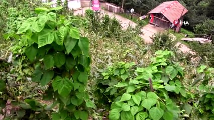 Şiddetli yağmurda çöken duvar saniye saniye görüntülendi