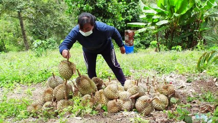 ความสำเร็จของ กอ.รมน ในการส่งเสริมรายได้ให้เกษตรกรไทย